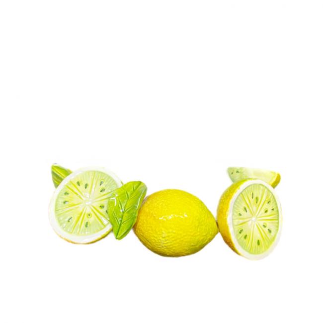Grote Citroen kom met citroenen en limoenen op de rand